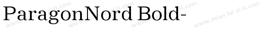 ParagonNord Bold字体转换